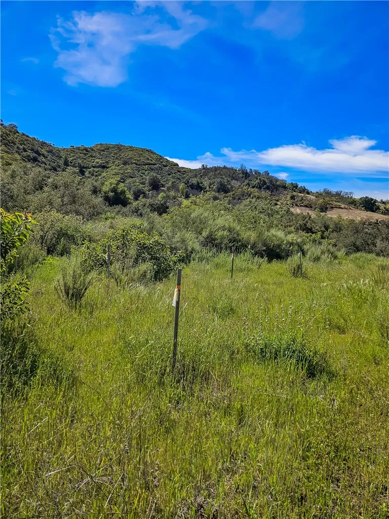93706 Via Escondido Temecula, CA 92590