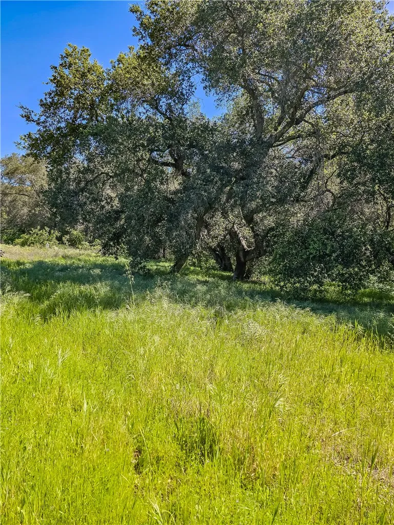 93706 Via Escondido Temecula, CA 92590
