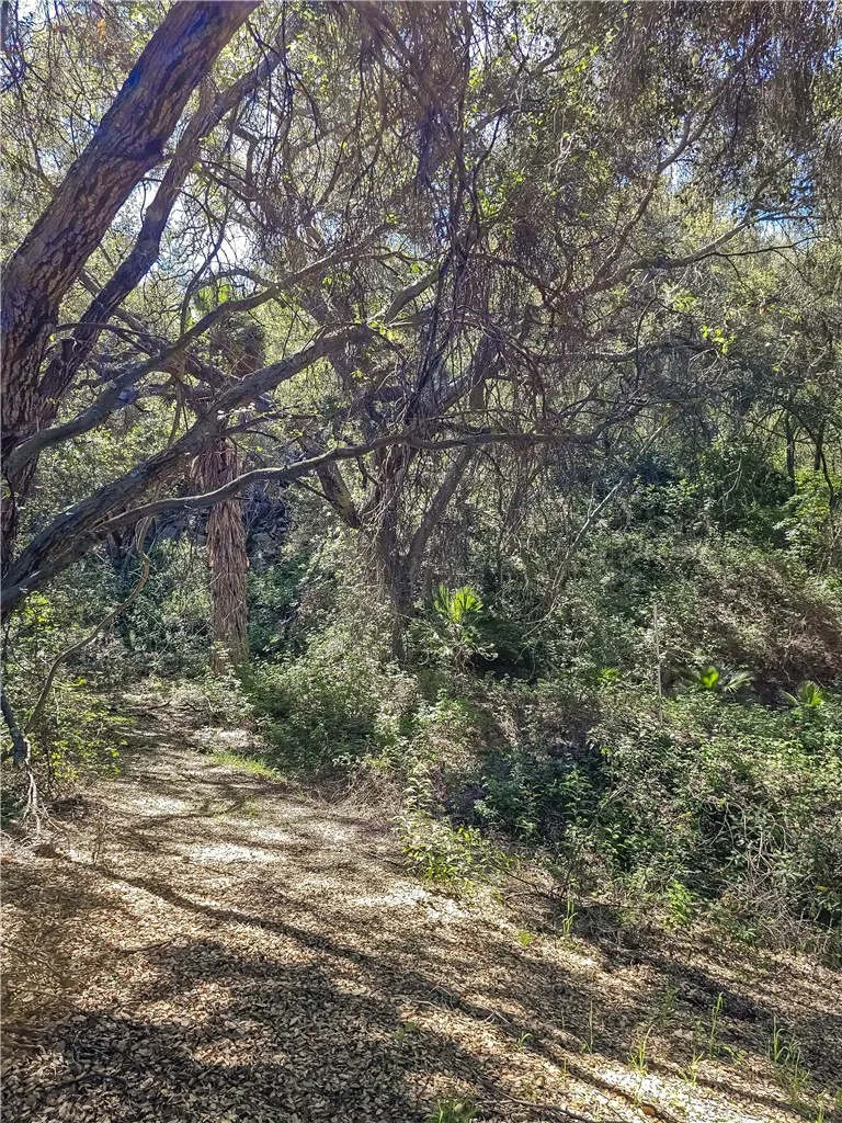 93706 Via Escondido Temecula, CA 92590