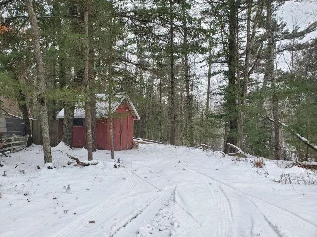 Silver Creek Road Mills Township, MI 48756