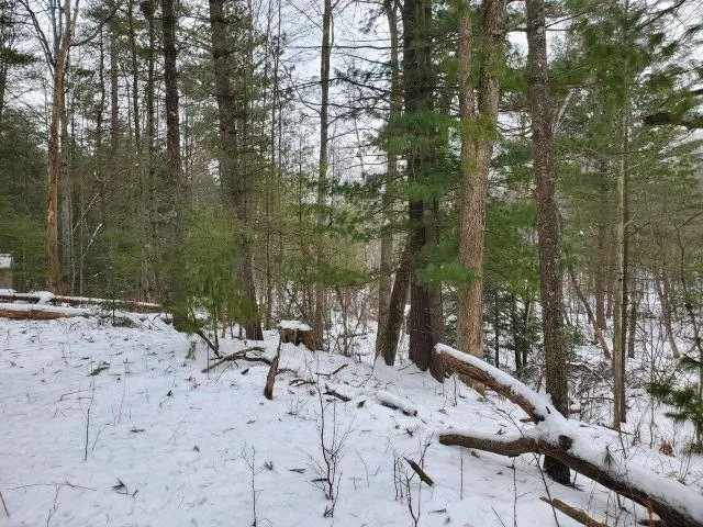 Silver Creek Road Mills Township, MI 48756