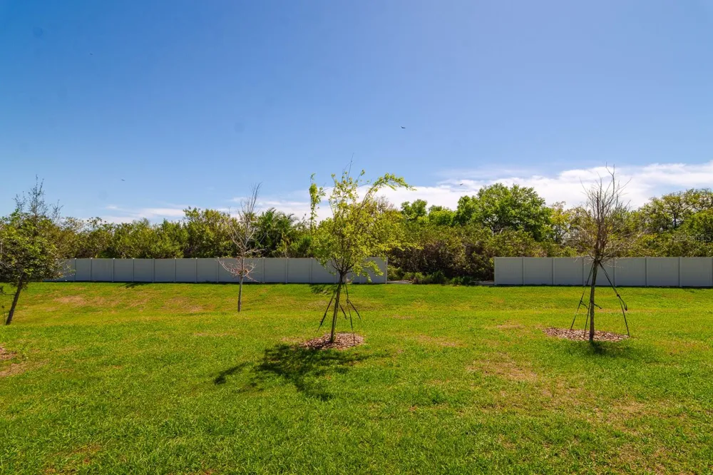 350 MANGROVE SHADE CIRCLE Apollo Beach, FL 33572