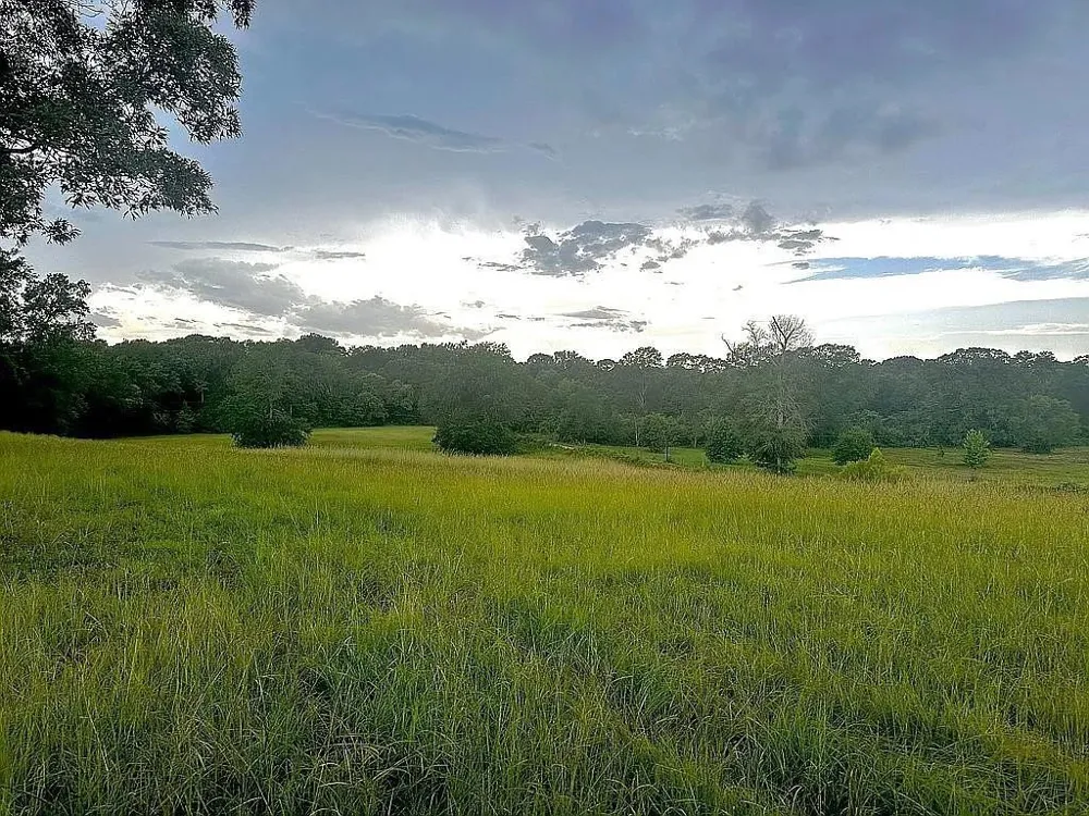 1840 County Road 1306 Rusk, TX 75785