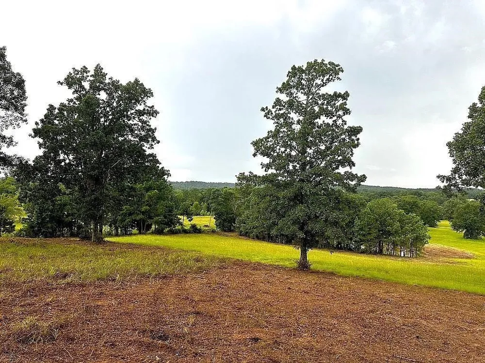 1840 County Road 1306 Rusk, TX 75785