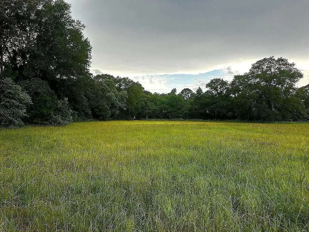 1840 County Road 1306 Rusk, TX 75785