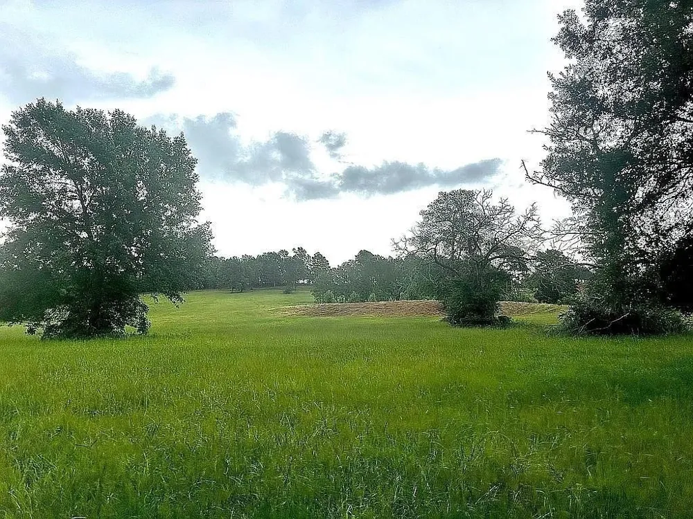 1840 County Road 1306 Rusk, TX 75785