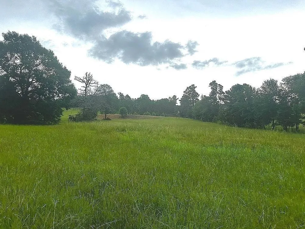 1840 County Road 1306 Rusk, TX 75785