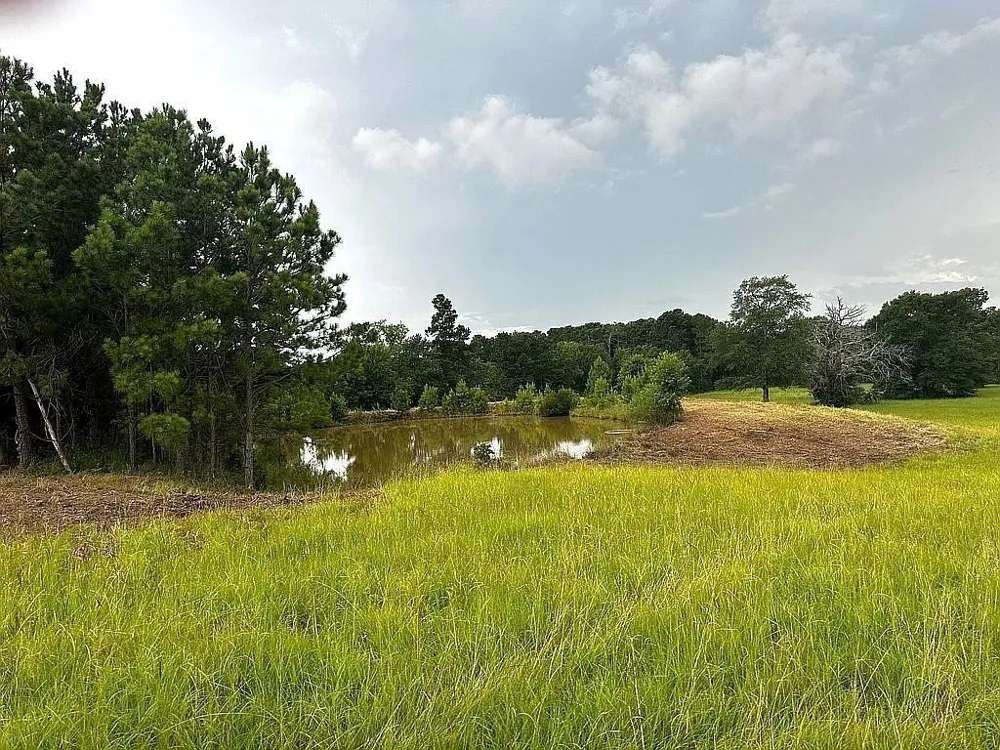 1840 County Road 1306 Rusk, TX 75785