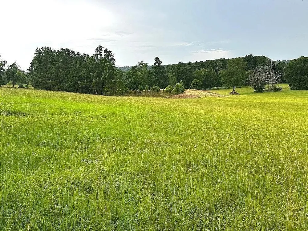 1840 County Road 1306 Rusk, TX 75785