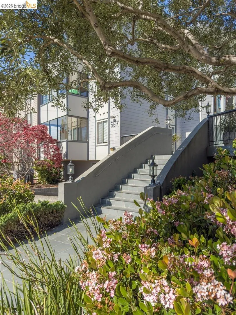 567 Oakland Ave #206 Oakland, CA 94611