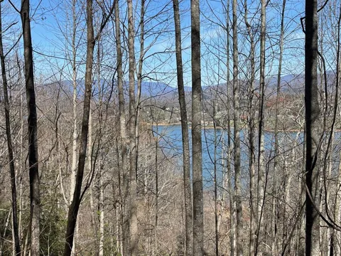 Tract 1 Brer Fox Ridge