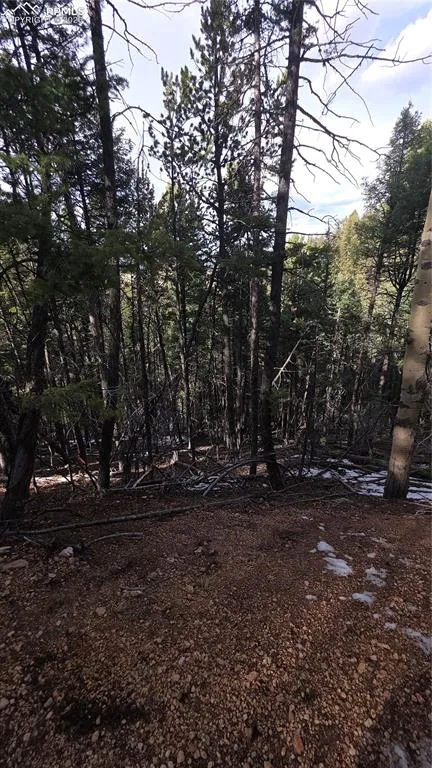 157 Gitchigoomee Trail