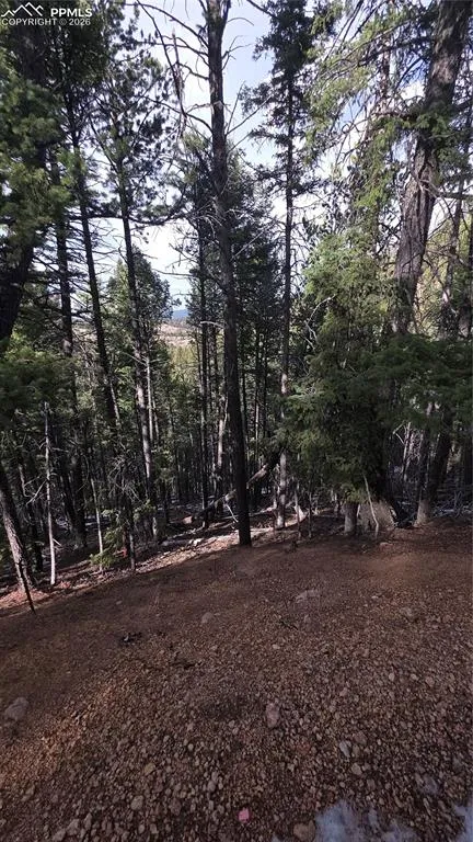 157 Gitchigoomee Trail Woodland Park, CO 80863