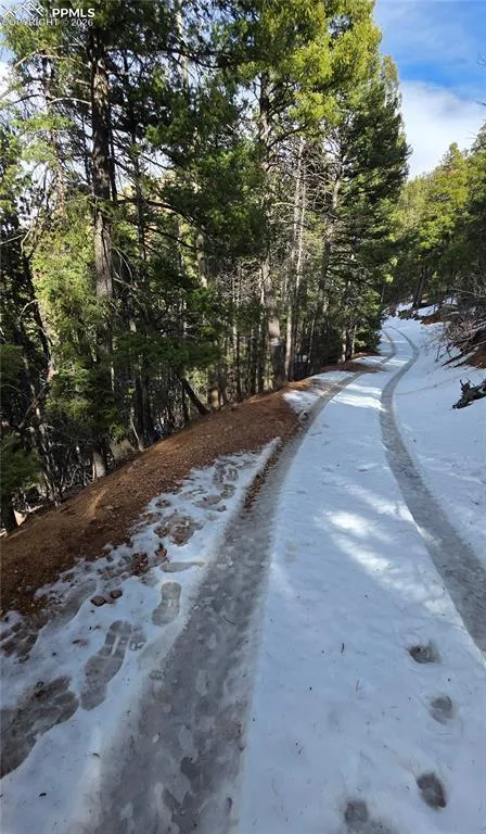 157 Gitchigoomee Trail Woodland Park, CO 80863
