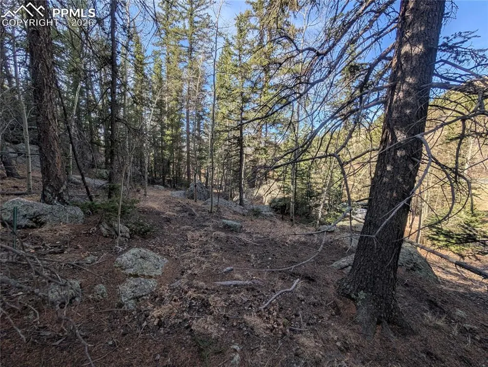 386 Brook Drive Lake George, CO 80827