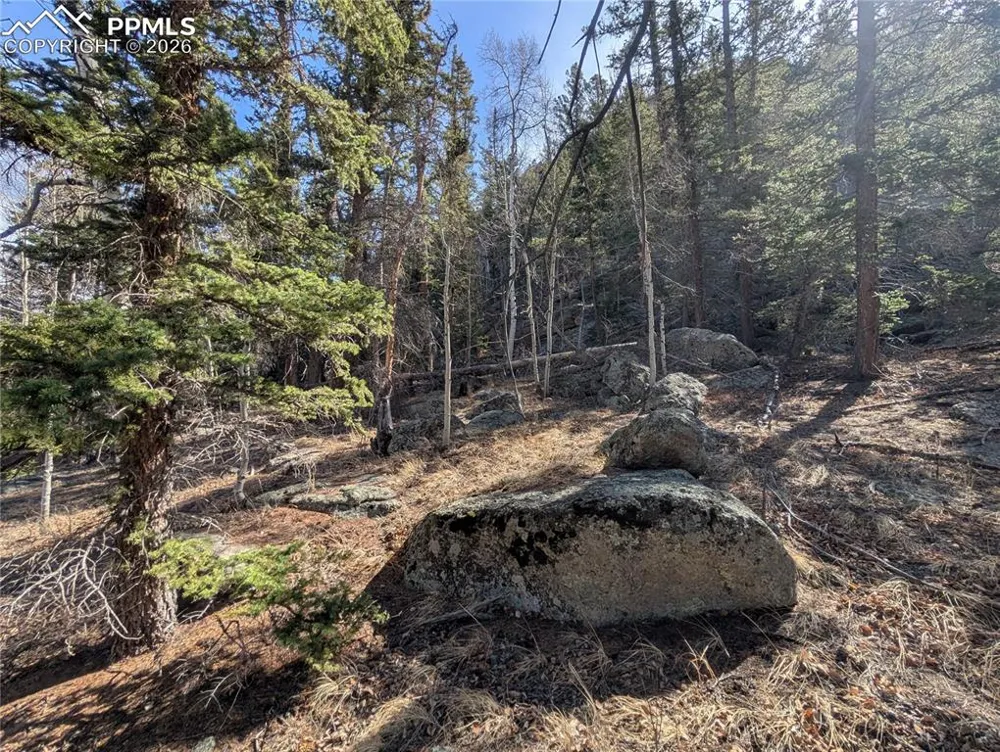 386 Brook Drive Lake George, CO 80827