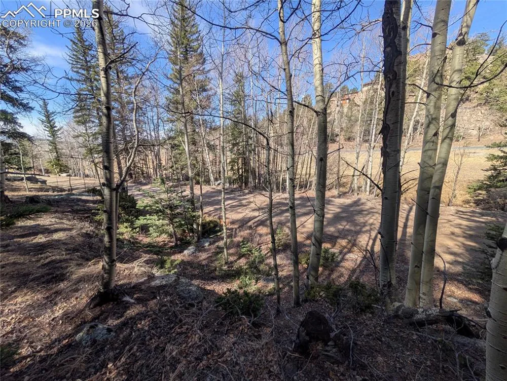 386 Brook Drive Lake George, CO 80827