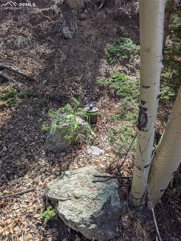 386 Brook Drive Lake George, CO 80827