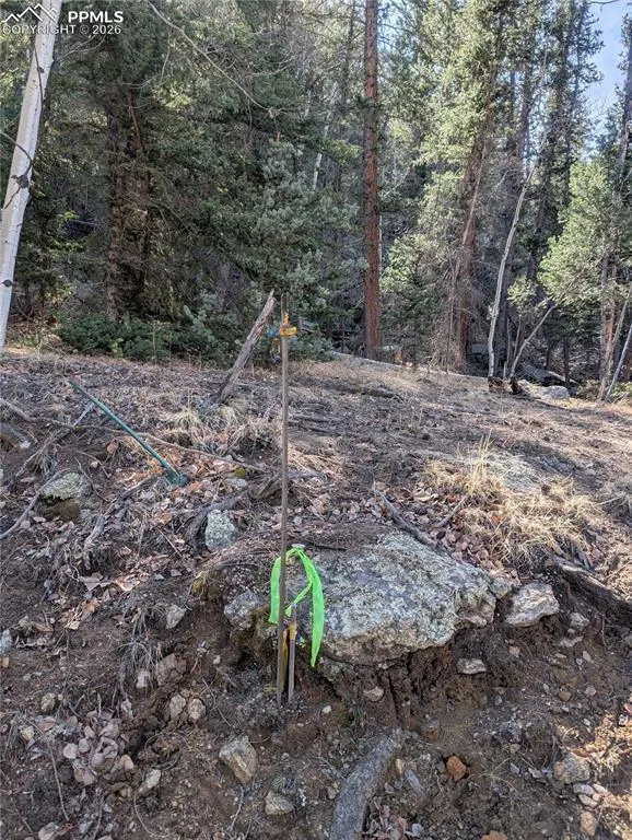 386 Brook Drive Lake George, CO 80827