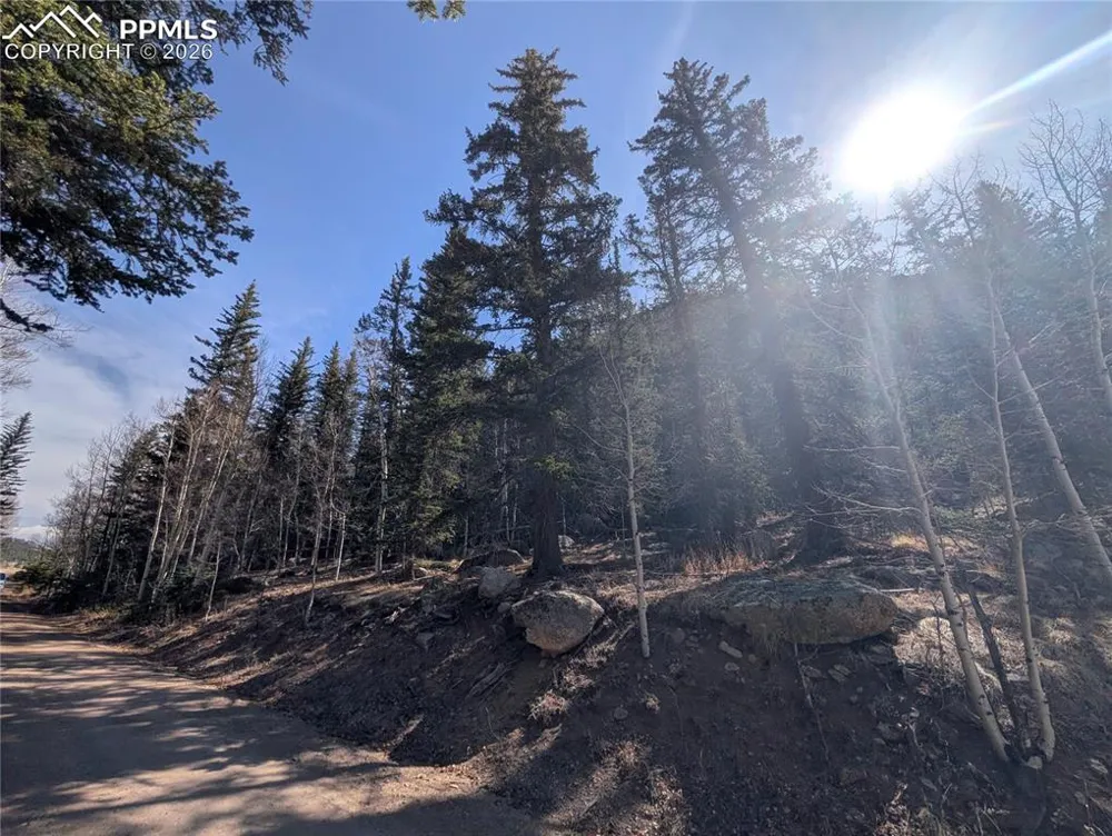 386 Brook Drive Lake George, CO 80827