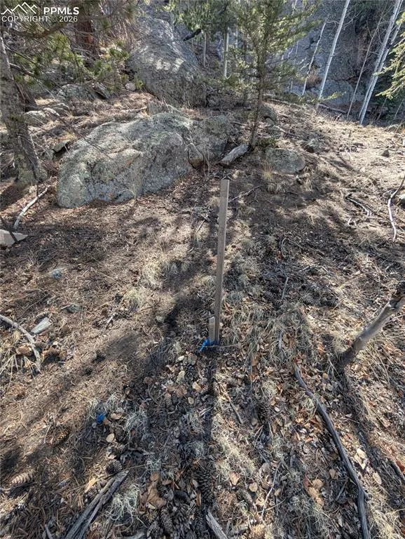 386 Brook Drive Lake George, CO 80827