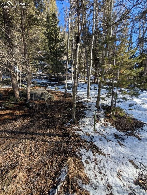 386 Brook Drive Lake George, CO 80827