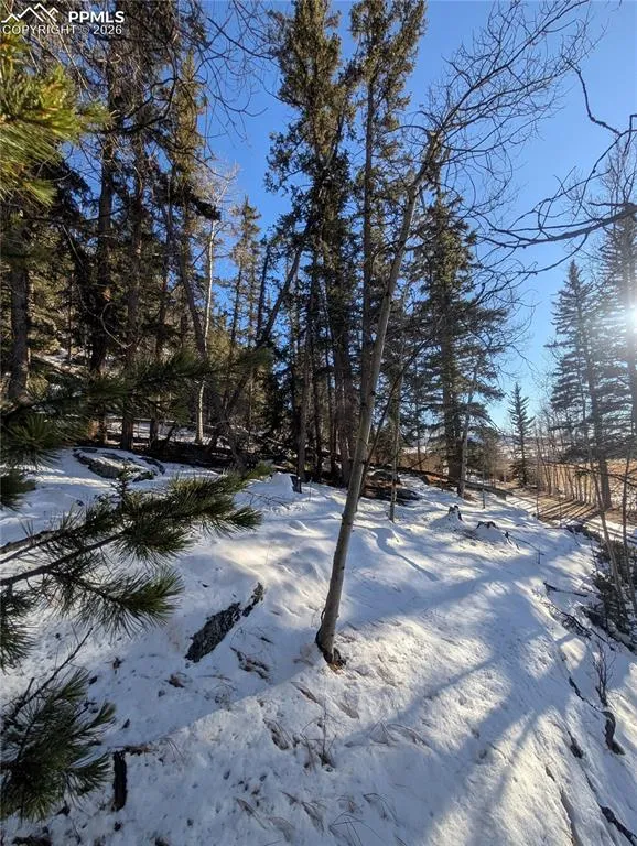 386 Brook Drive Lake George, CO 80827
