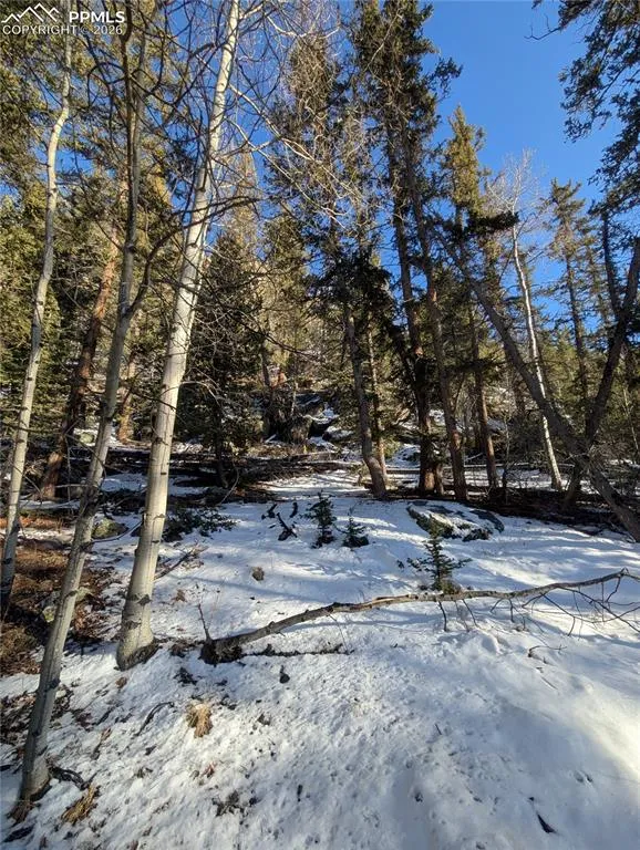 386 Brook Drive Lake George, CO 80827