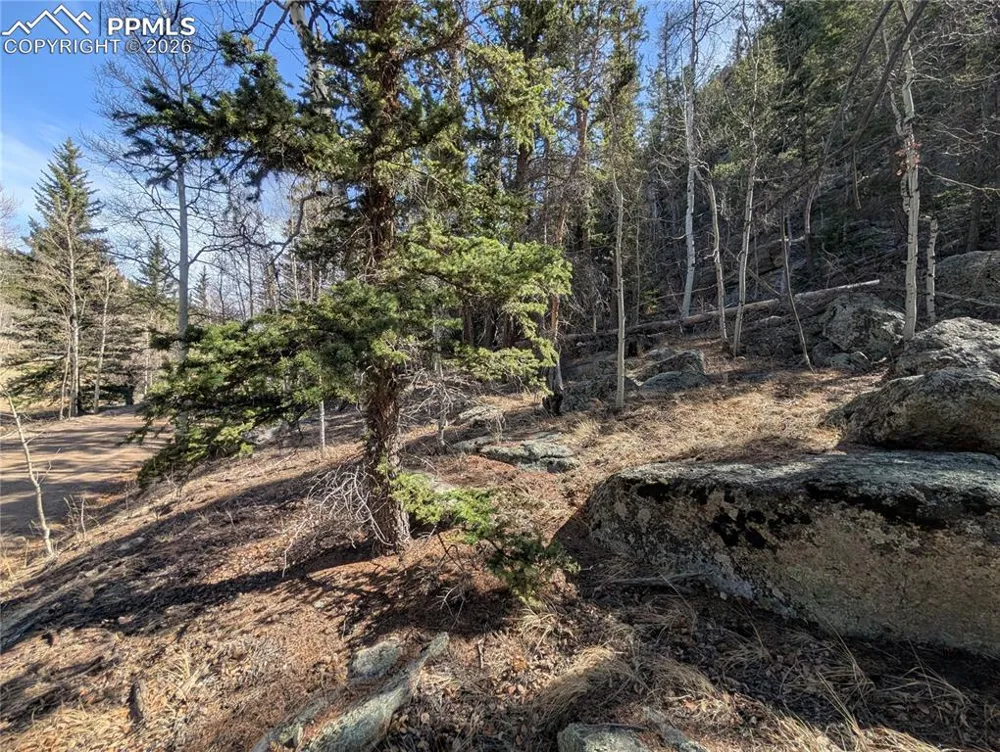386 Brook Drive Lake George, CO 80827