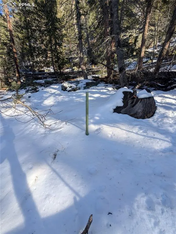 386 Brook Drive Lake George, CO 80827