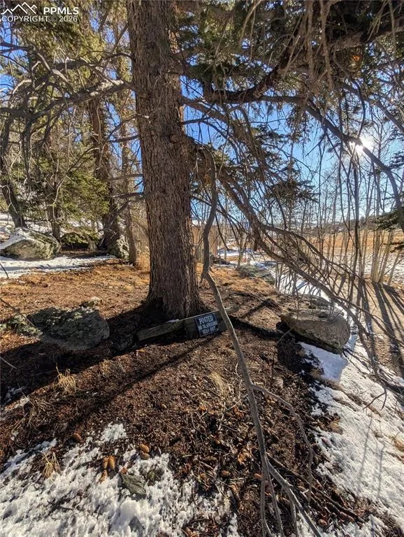 386 Brook Drive Lake George, CO 80827