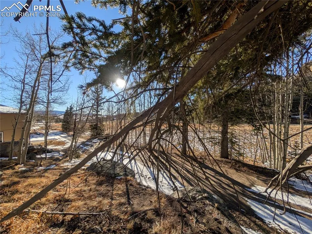 386 Brook Drive Lake George, CO 80827