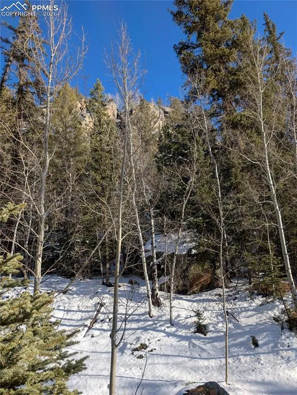 386 Brook Drive Lake George, CO 80827