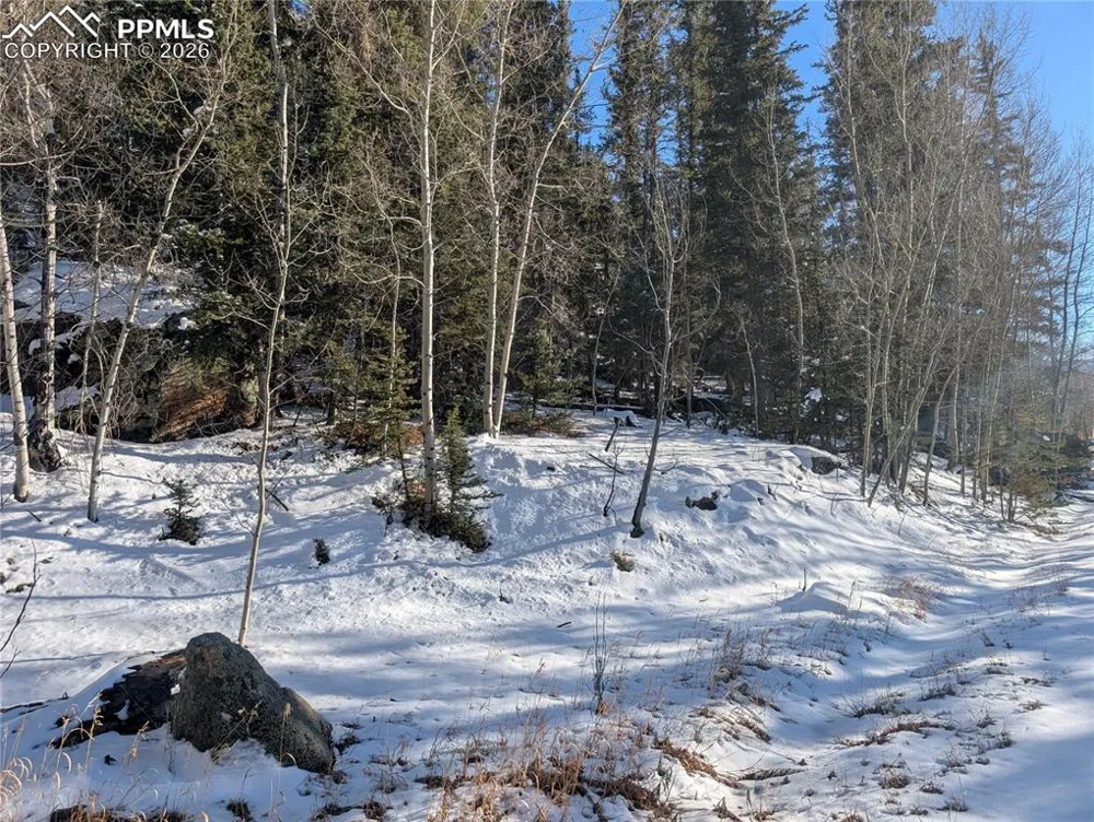 386 Brook Drive Lake George, CO 80827