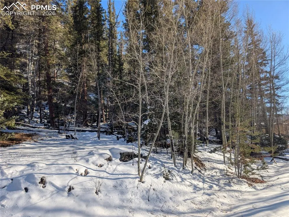 386 Brook Drive Lake George, CO 80827