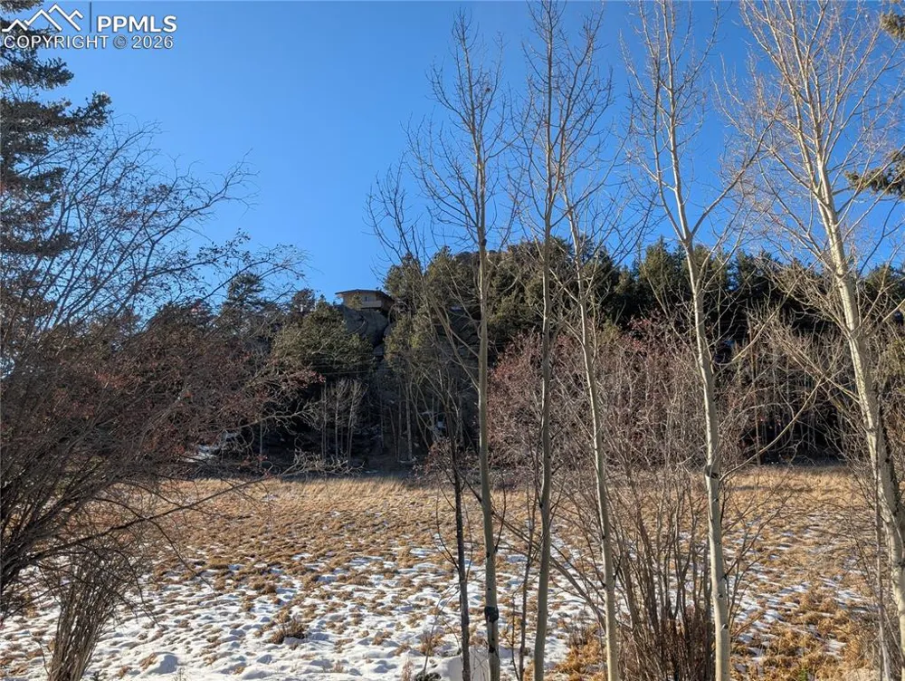 386 Brook Drive Lake George, CO 80827