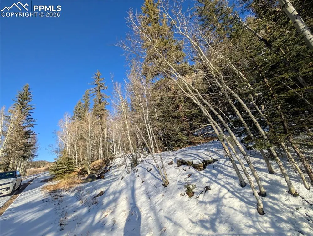 386 Brook Drive Lake George, CO 80827