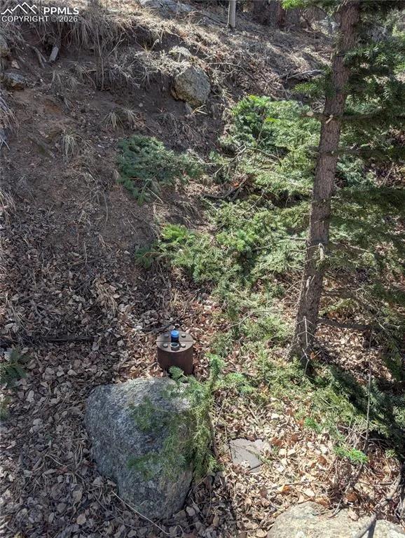 386 Brook Drive Lake George, CO 80827
