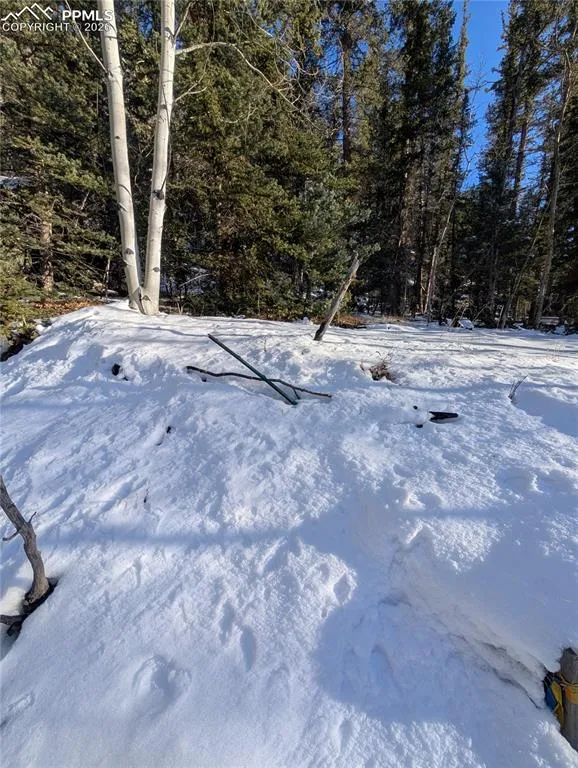 386 Brook Drive Lake George, CO 80827