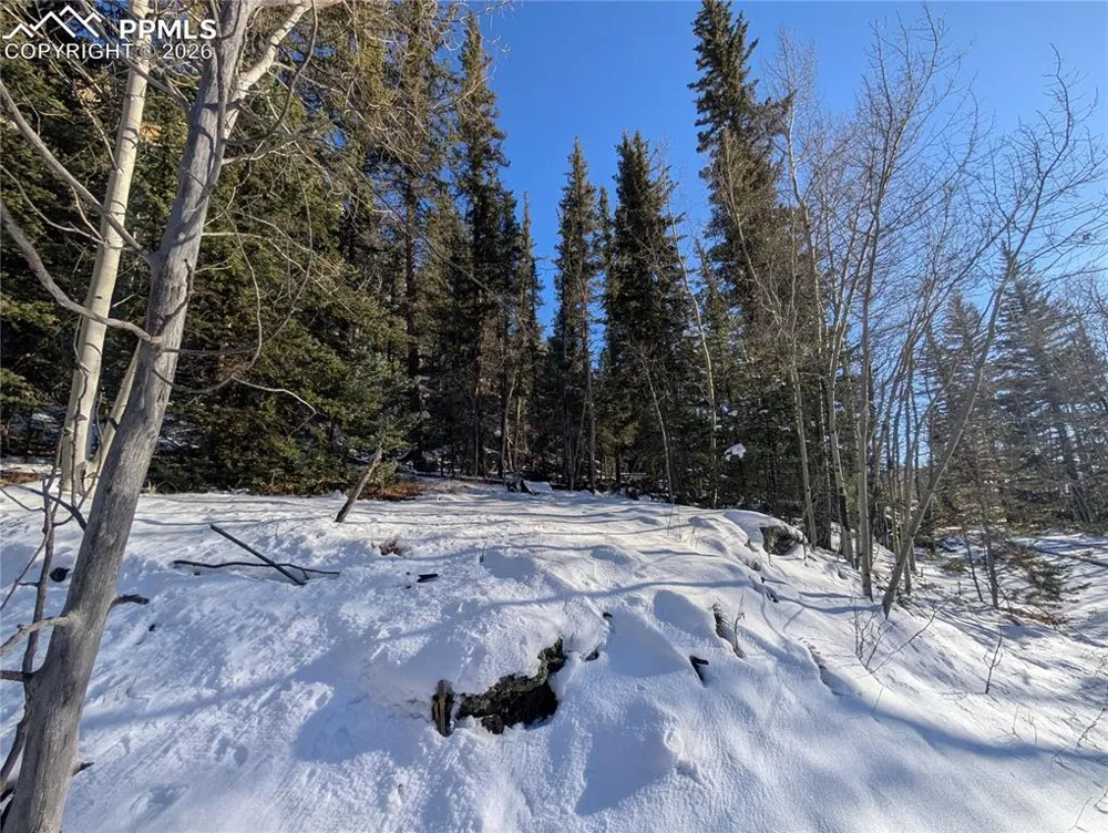 386 Brook Drive Lake George, CO 80827