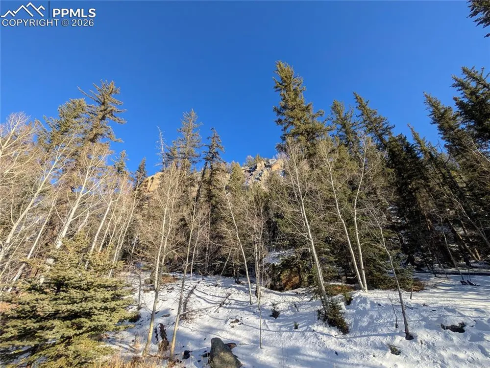386 Brook Drive Lake George, CO 80827