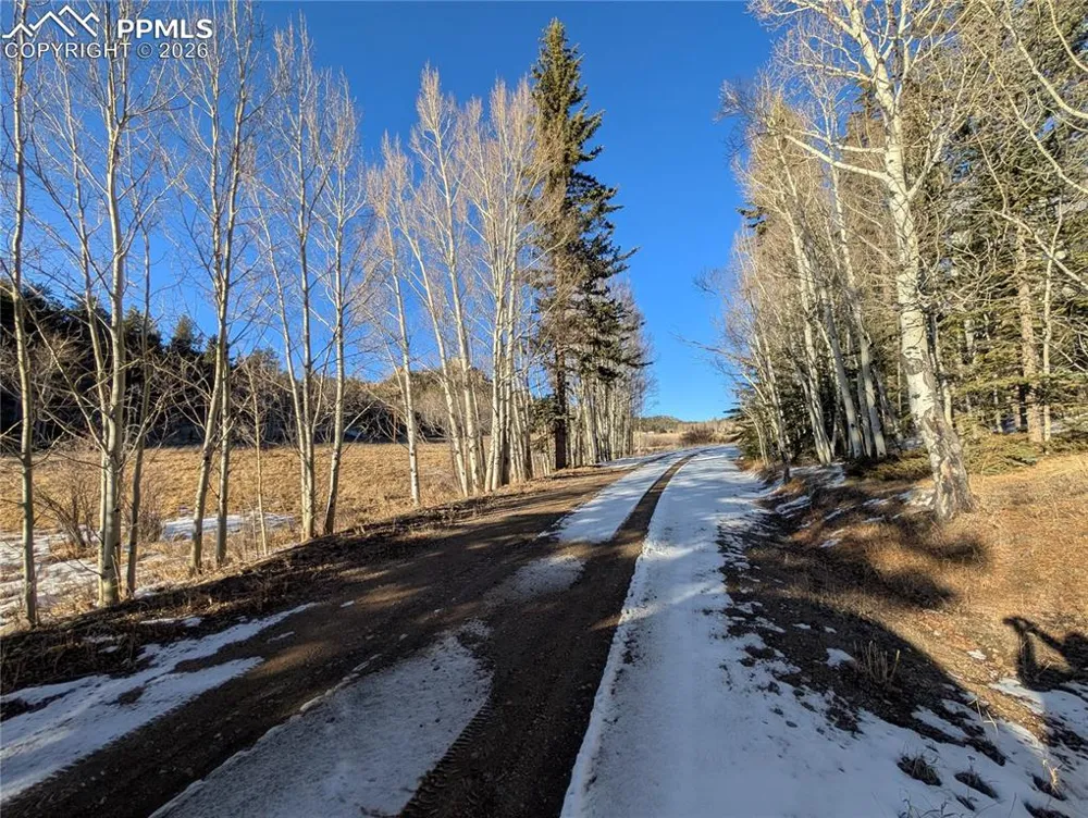 386 Brook Drive Lake George, CO 80827