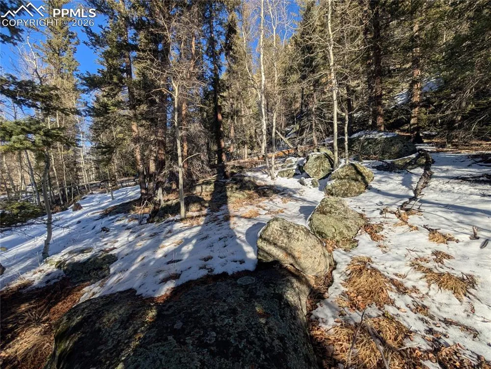 386 Brook Drive Lake George, CO 80827