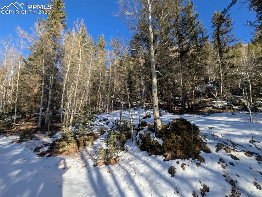 386 Brook Drive Lake George, CO 80827