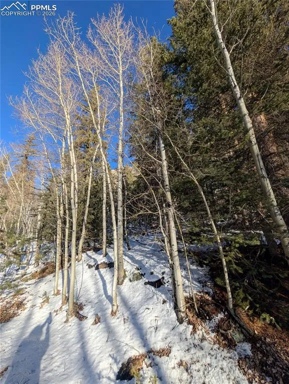 386 Brook Drive Lake George, CO 80827