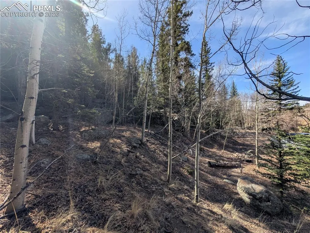 386 Brook Drive Lake George, CO 80827