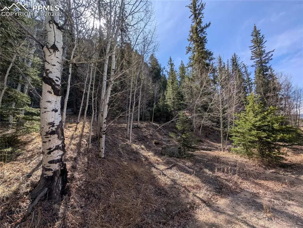 386 Brook Drive Lake George, CO 80827