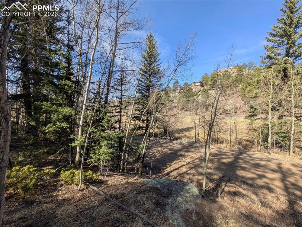 386 Brook Drive Lake George, CO 80827