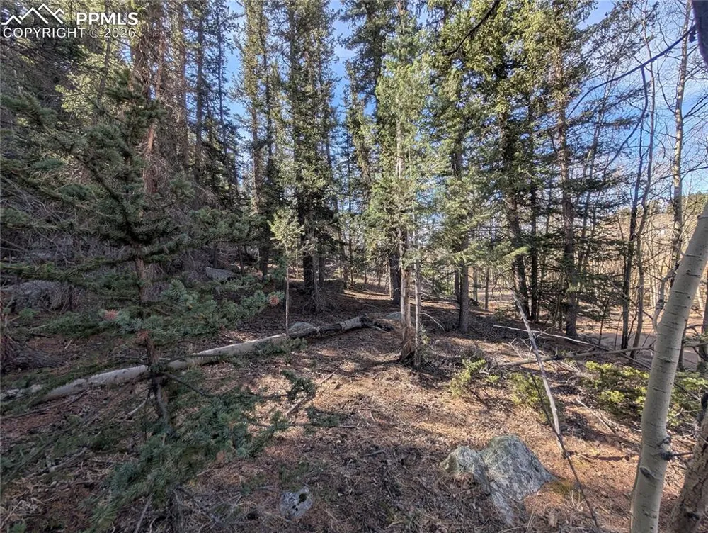 386 Brook Drive Lake George, CO 80827
