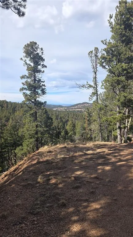 169 Osoeola Road Woodland Park, CO 80863